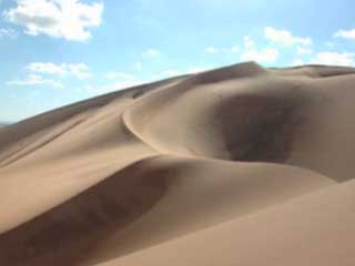 صور Oasis in desert تسلية